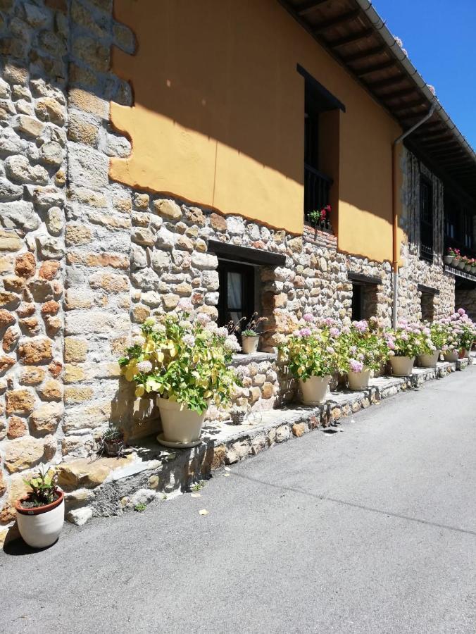 La Casa Nueva Alojamiento Rural Cereceda  Exterior photo